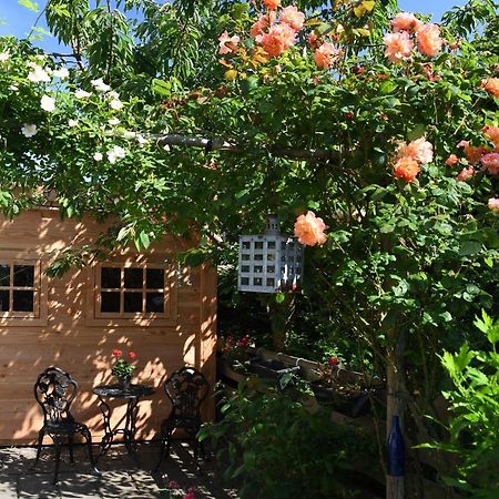 Wadden Eiland Bed En Breakfast Op Texel Oudeschild Esterno foto
