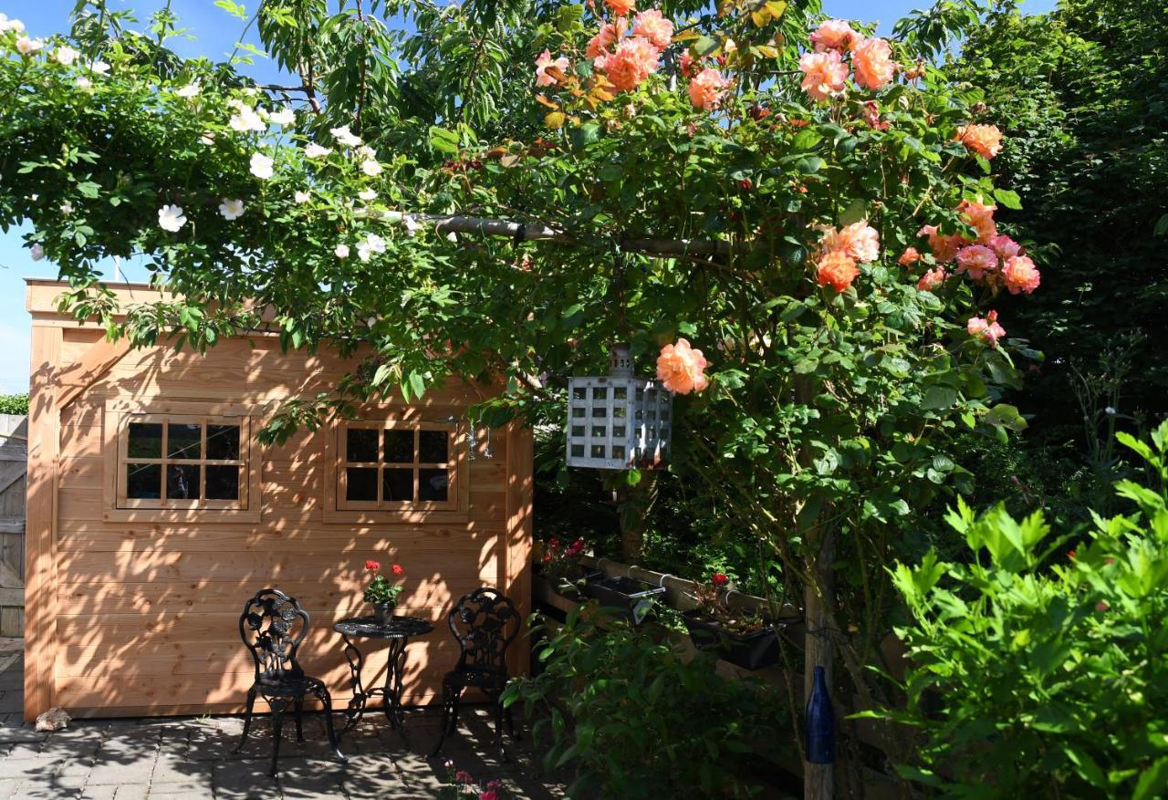 Wadden Eiland Bed En Breakfast Op Texel Oudeschild Esterno foto