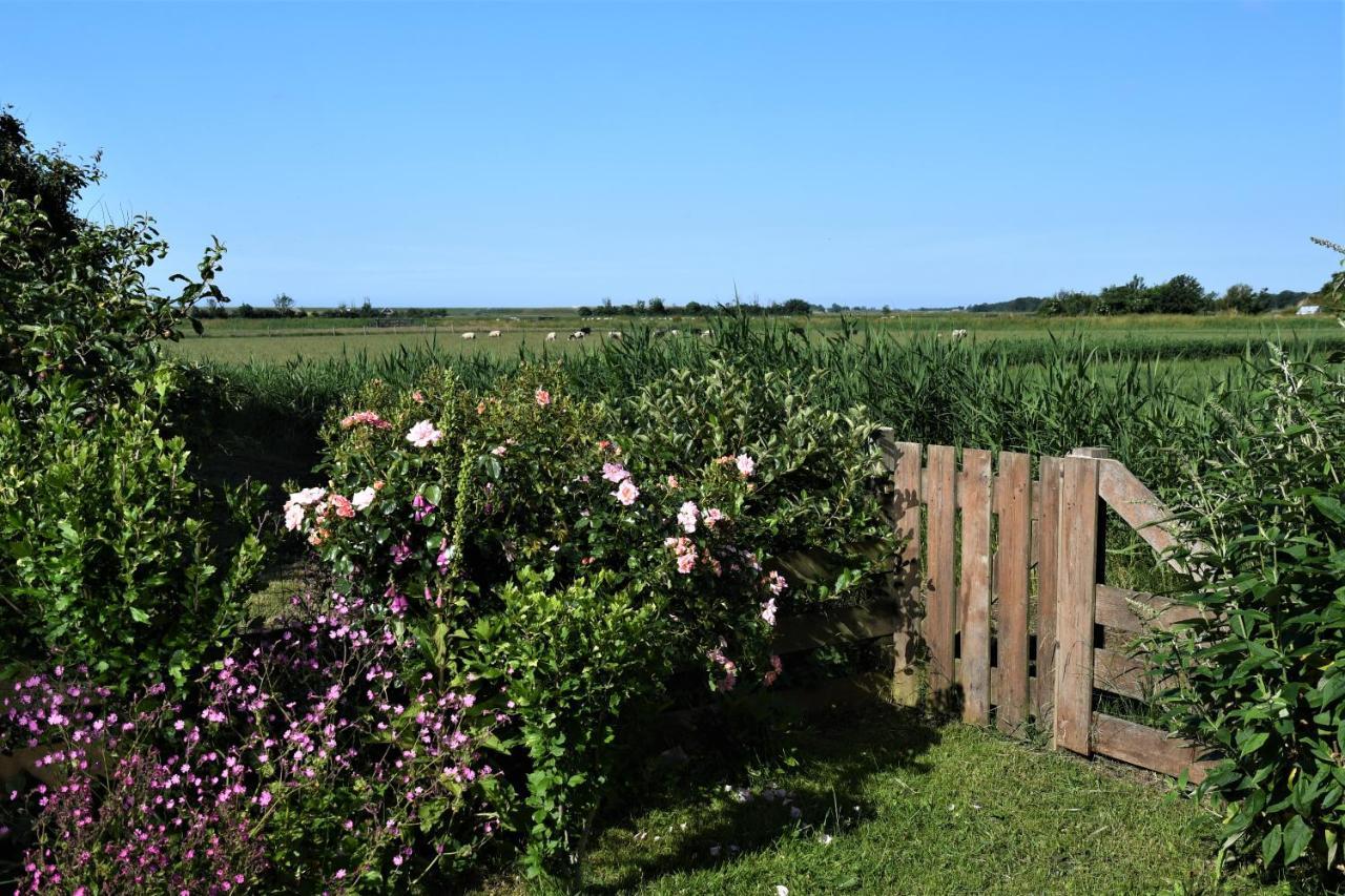 Wadden Eiland Bed En Breakfast Op Texel Oudeschild Esterno foto