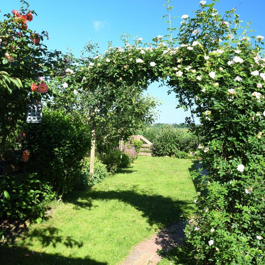 Wadden Eiland Bed En Breakfast Op Texel Oudeschild Esterno foto